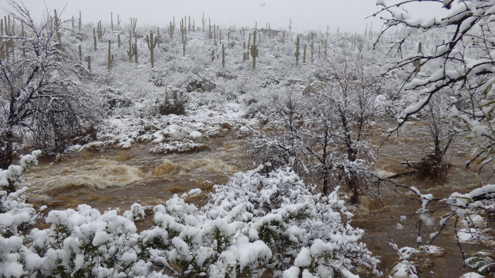 Snow around Tucson